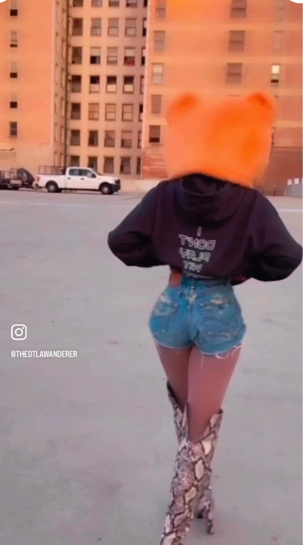 I Don’t Play Wit B’s Unisex Hoodie